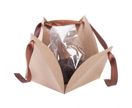 Чай Breakfast Tea в пирамидке, крафт, 50 г